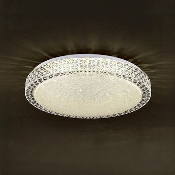 48W 單色吸頂燈 L01-2353B