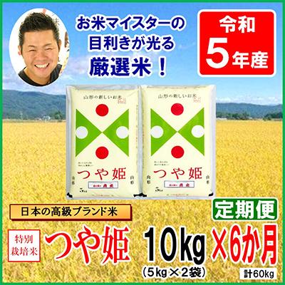 ふるさと納税 米沢市 特別栽培米つや姫10kg(5kg×2袋)全6回