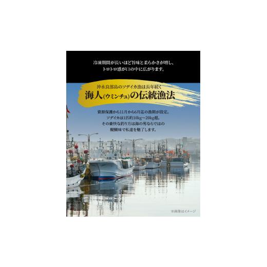 ふるさと納税 鹿児島県 和泊町 ソデイカ・刺身用ブロック　 1Ｋg／沖永良部島特産