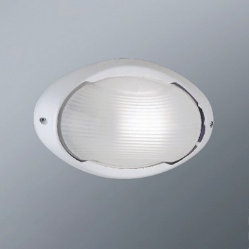 E27 戶外投光壁燈  K01-13-66557