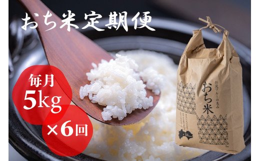 （新米）「おち米」定期便　(5kg × 6回)　産直　白米