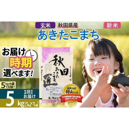 ふるさと納税 ＜新米＞ 秋田県産 あきたこまち 5kg (5kg×1袋) 令和5年産 時期選べる 5キロ お米 発送時期が選べる 秋田県仙北市