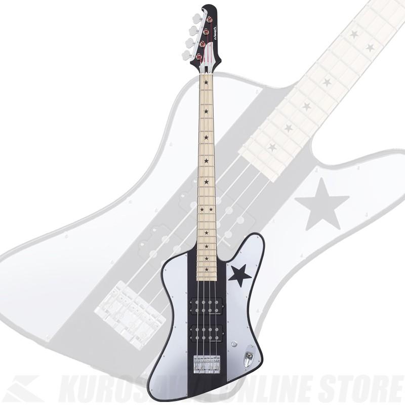 ポイントアップ EDWARDS E-STAR BIRD-III