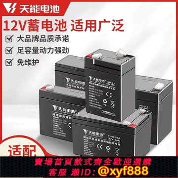 {公司貨 可打統編}天能原裝電池兒童車電瓶蓄電池6v12v打藥機音響噴霧器適配通用