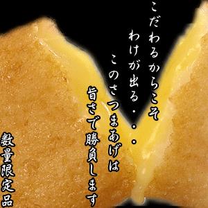 訳あり さつま揚げ 1kg 鹿児島県 揚立屋 家庭用 さつまあげ 工場直送 送料無料