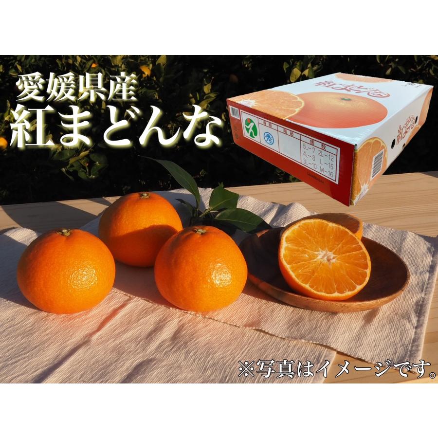 紅まどんな　愛媛県産(JAえひめ中央)　化粧箱　青秀　Ｌサイズ　15個入り