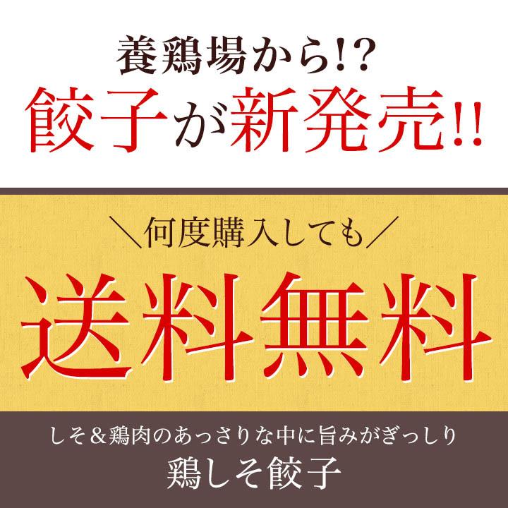 鶏しそ餃子 60個入り(30個入り×2袋) 冷凍餃子 餃子 送料無料 お試し 生餃子 冷凍生餃子 食品 惣菜 中華 鶏肉