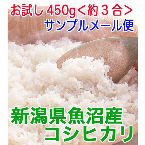 新潟県魚沼産こしひかり　令和５年産　新米　5年産　お試し450g 送料無料 新潟県魚沼産こしひかり