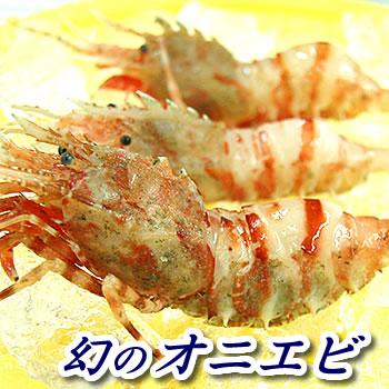 訳あり・おにえび（冷凍）約140ｇ　（浜坂産）幻のエビといわれるほど希少オニエビ