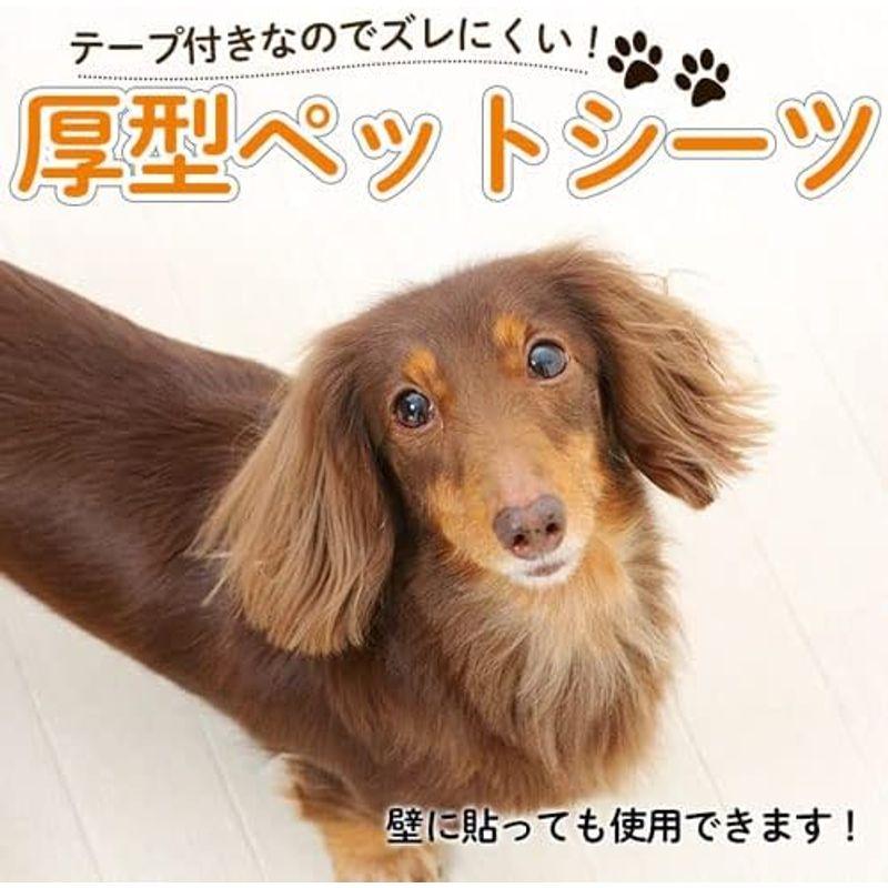 首輪に貼付け・革製迷子札・犬　（メール便なら→）