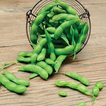 鹽味綠晶即食毛豆莢 400g/份 x5入組