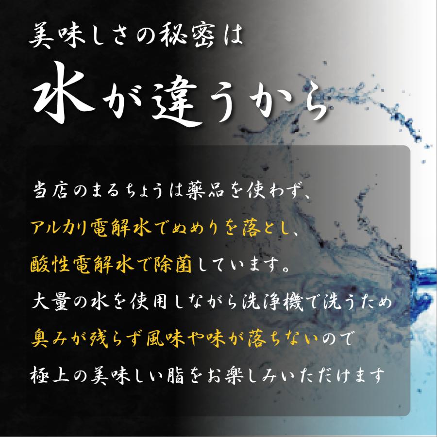 鍋 もつ鍋セット 2人前 3人前 4人前 国産牛もつ モツ鍋 まるちょう 肉 工場直送 お取り寄せ ちゃんぽん麺付き