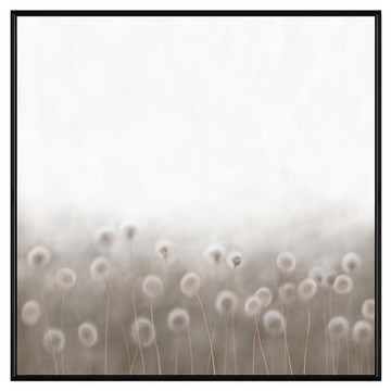 BOLUO GALLERY 菠蘿選畫所 霧中白雪 BFDD6609B 掛畫  60 x 60cm  黑色