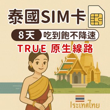 【漫遊家】泰國SIM卡 8天吃到飽不降速 TRUE原生線路 實體網卡 即插即用 泰國網卡 sim卡 上網卡