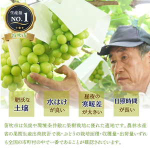 ＜2024年先行予約＞大房『シャインマスカット』 山梨県産ぶどう 青秀品 2房 計約1.2kg 化粧箱入 ※冷蔵 JAふえふき 203-009