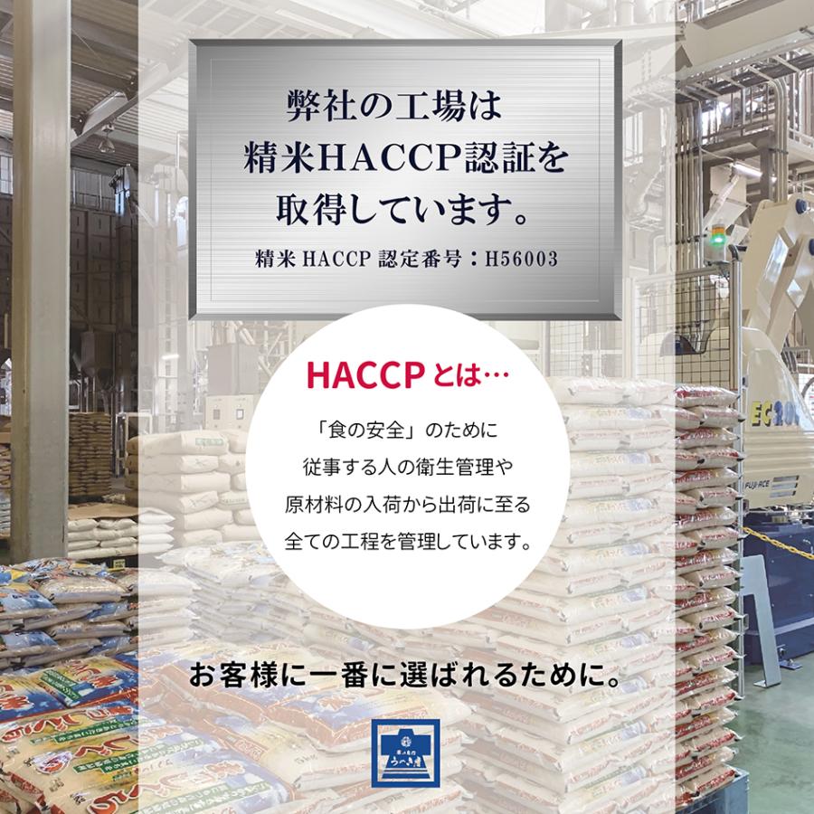 家族の食卓 プレミアム 米 10kg（5kg×2袋） 白米 令和4年産 オリジナルブレンド 国産 お米 10Kg 白米