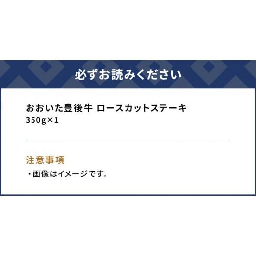 ふるさと納税 大分県 津久見市 おおいた豊後牛 ロースカットステーキ 350g 和牛 豊後牛 国産牛 赤身肉 焼き肉 焼肉 ステーキ肉 大分県産 九州産 津久見市 国産