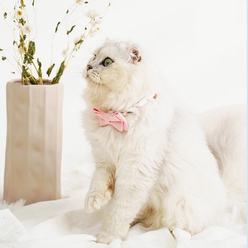 客製/可拆蝴蝶結/安全插扣 | 貓項圈-千日花 Pawsholic爪迷