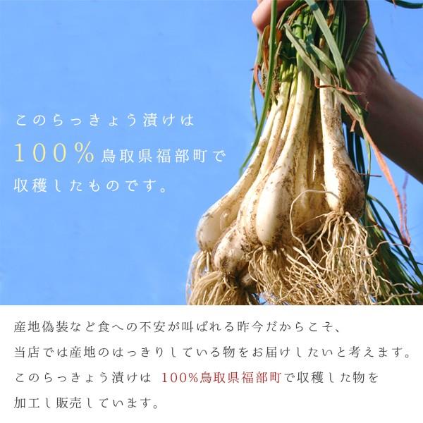 砂丘らっきょう漬け 鳥取県福部町産 ギフト向け樽箱入800g 無添加 国産 送料無料（北海道・沖縄を除く）