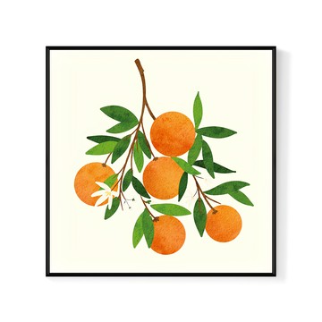Boluo 菠蘿選畫所 掛畫 飄香橘韻 I  60 x 60cm  黑色  1件