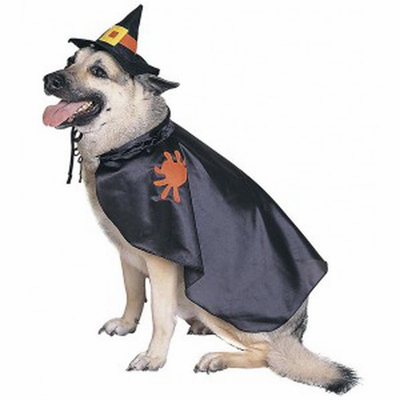 Dm便送料無料 ルービーズ 犬 ペット ハロウィン コスチューム ウィッチ マント ハロウィン 衣装 Rubies 7873 通販 Lineポイント最大1 0 Get Lineショッピング