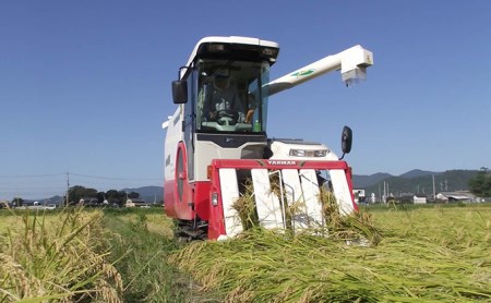 甲良米 特別栽培コシヒカリ 無洗米 5kg 5ヶ月連続