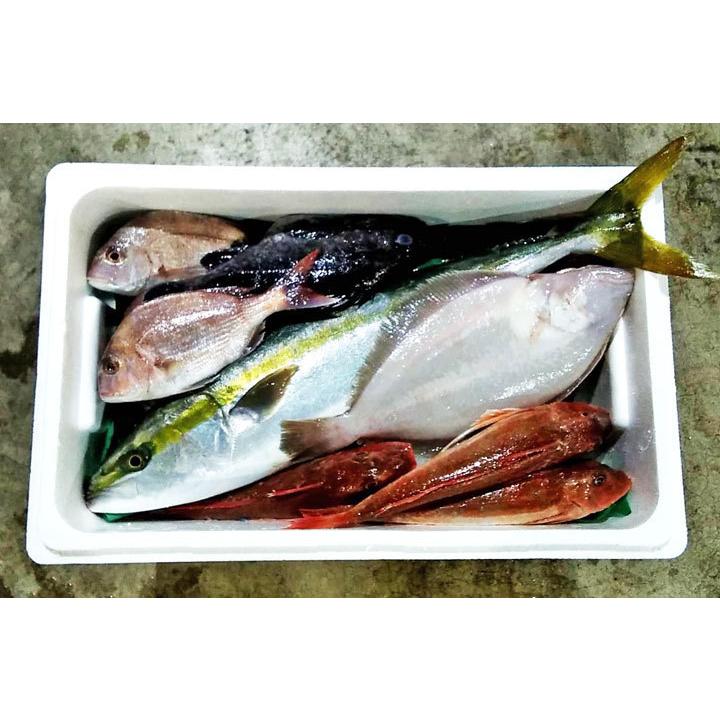 鮮魚セット A 山形県庄内産 鮮魚ボックス 詰め合わせ box 直送 魚 食の都庄内