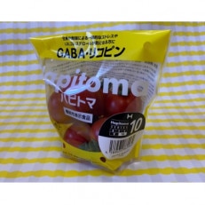 機能性表示食品　Hapitoma ハピトマ　　 糖度10(1kg)