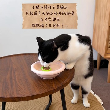 新上架👉騙貓咪喝水神器! 懸浮飲水碟放貓條凍乾零食吸引寵物騙喝水舔水盤交換禮物 送朋友禮物