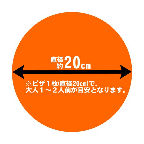 30人に1人が無料！選べるピザ5枚ラッキーセット 送料無料 クール料108円