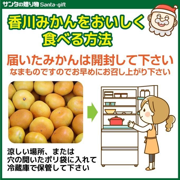 みかん 小さな2Sサイズ 送料無料 送料無料 1.5kg 香川県産 果物 旬 フルーツ 柑橘 3日営業日以内に発送