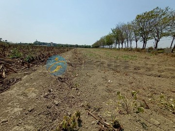 義竹國中旁1.7農地｜嘉義縣義竹鄉角帶圍段帶圍小段