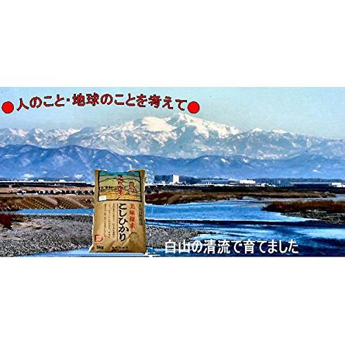 令和4年産 石川県産 自然農法米 こしひかり 「天の恵み」 白米 5kg