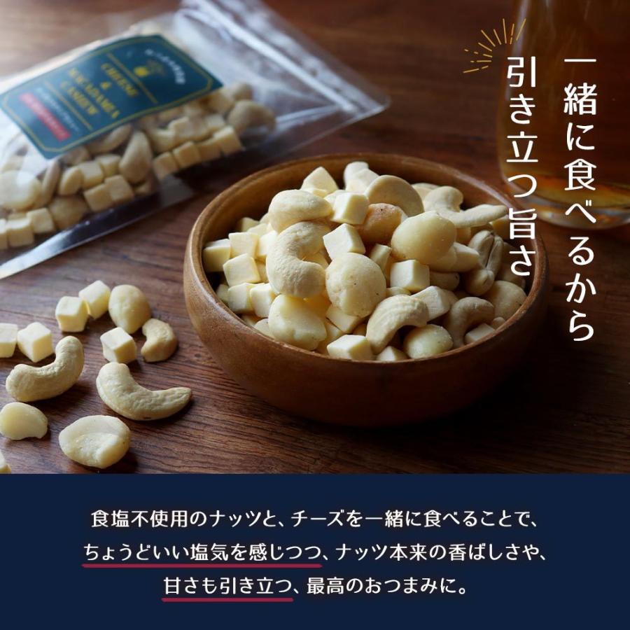 チーズマカダミアカシュー 無塩 100g チーズ  カシューナッツ マカダミアナッツ ドライチーズ 送料無料