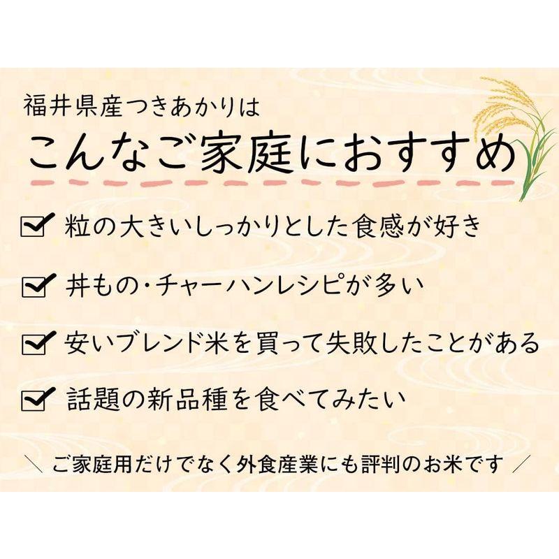 精米福井県産 つきあかり 白米 令和4年産 (5kg)