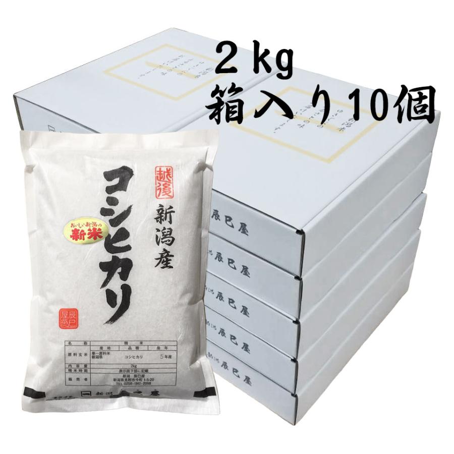 新米 新潟県産 コシヒカリ 白米 2kg 箱入り 10個 令和5年産 お米 御贈答におすすめ 