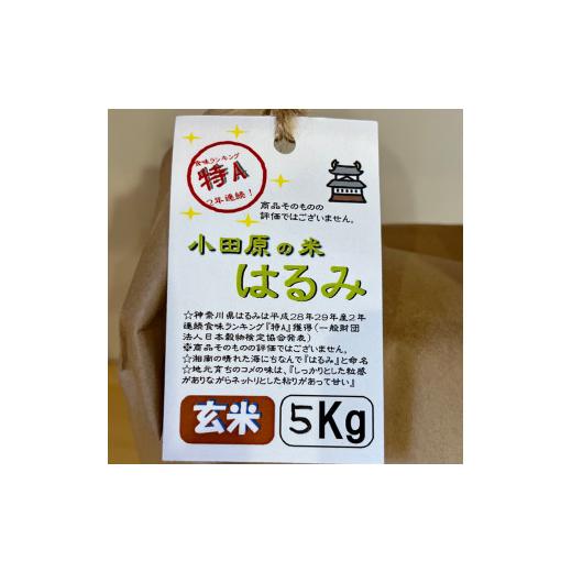 ふるさと納税 神奈川県 小田原市 志村屋米穀店 令和5年産新米小田原市産　はるみ(玄米) 　新米　5kg　＜出荷時期：10月中旬より順次出荷開始…