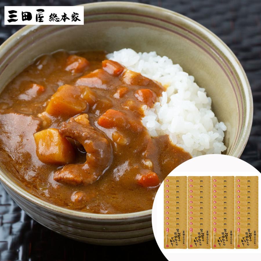 三田屋総本家 黒毛和牛の欧風ちょこっとビーフカレー中辛 40食セット レトルトカレー お取り寄せグルメ