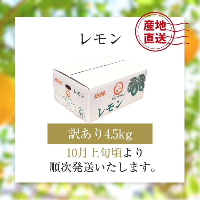 レモン 訳あり 4.5kg 国産 愛媛産 送料無料 産地直送 柑橘 フルーツ 果物 防腐剤 防カビ剤 不使用 ノンワックス