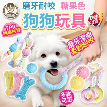 狗狗啃咬玩具【布萊恩👨🏻隔日到貨】狗玩具 寵物玩具 寵物耐咬玩具 狗耐咬玩具 啃咬玩具 TPR玩具 貓狗玩具 互動玩具