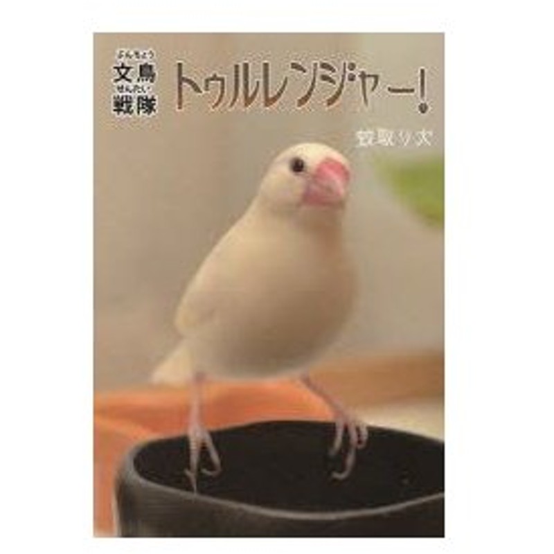 新品本 文鳥戦隊トゥルレンジャー 文鳥の写真集 蚊取り犬 著 通販 Lineポイント最大0 5 Get Lineショッピング