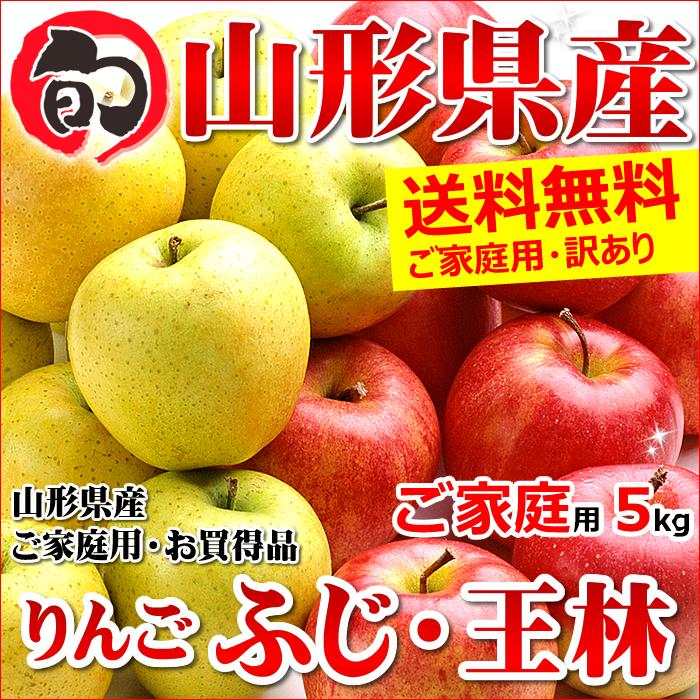 山形県産 りんご ふじ＆王林 詰め合わせ 5kg(ご家庭用 13〜22玉入り)