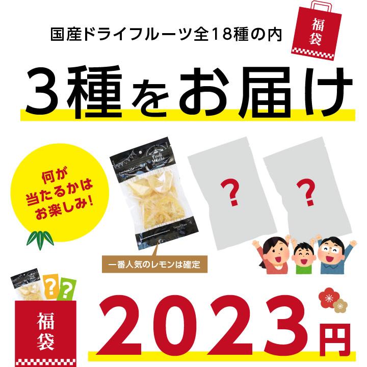 福袋 ドライフルーツ 国産 3袋セット 送料無料 2024 メール便 ドライ おやつ 南信州菓子工房 おつまみ 食品