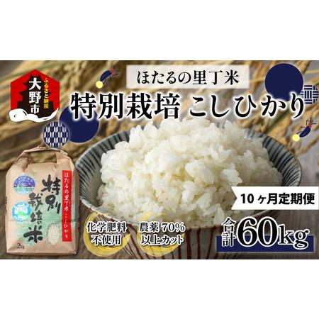 ふるさと納税 ベストファーマー ほたるの里 特別栽培こしひかり 6kg（2kg×3）× 10回 計60kg 化学.. 福井県大野市