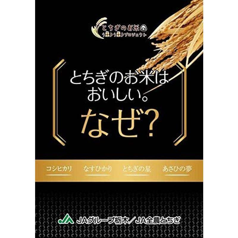 精米 栃木県産 JAしおのや 白米 なすひかり 5kg