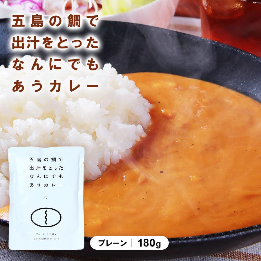 ごと 五島の鯛で出汁をとったなんにでもあうカレー プレーン 180g 五島 カレー 出汁