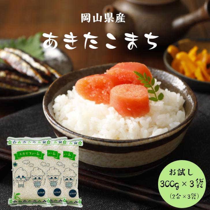 新米 令和5年産 岡山県産 あきたこまち 900g  ポイント消化 白米 食品 お試しセット 1kg以下 メール便 国産 送料無料