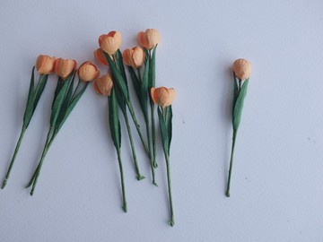 紙花，10 件，桌飾，小型鬱金香（含葉），橘色。