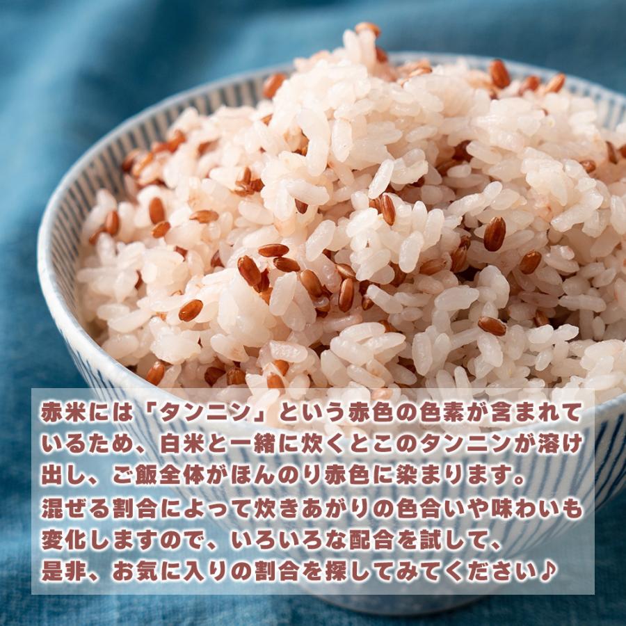 セール 国産 赤米 900g(450g×2袋) 新米 令和4年産 古代米 雑穀 雑穀米 ダイエット 置き換え 食品 送料無料