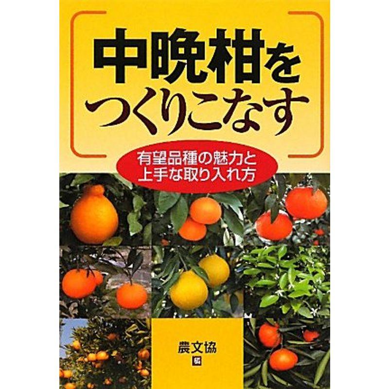 中晩柑をつくりこなす?有望品種の魅力と上手な取り入れ方